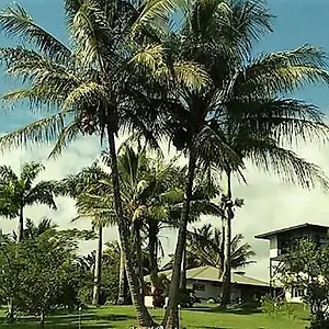 Island Goode'S - Luxury Adult Only Accommodation Near Hilo Papaikou